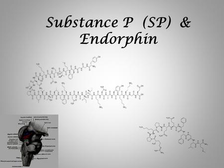 Substance P (SP) & Endorphin. Content Neuropeptides & pain perception – Substance P – endorphins NK1-receptor & Central opiate receptors Endorphins Enkephanlin.