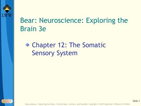 Bear: Neuroscience: Exploring the Brain 3e