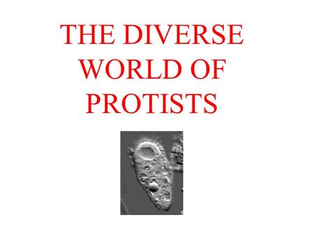 THE DIVERSE WORLD OF PROTISTS