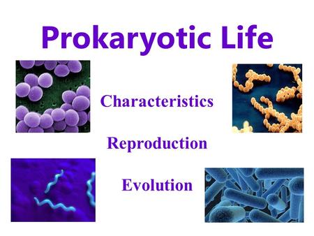 Prokaryotic Life Characteristics Reproduction Evolution.