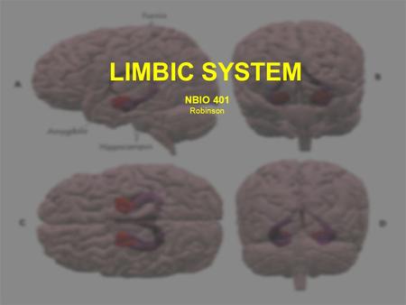 LIMBIC SYSTEM NBIO 401 Robinson. Objectives: -1) Be able to describe the major inputs and outputs, function, and the consequences of lesions or electrical.