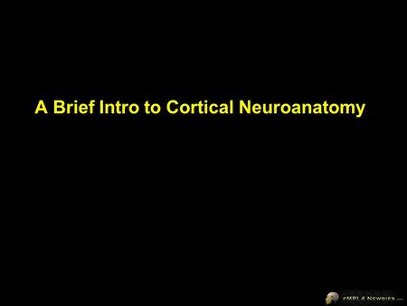 A Brief Intro to Cortical Neuroanatomy. 14 Major Sulci Main sulci are formed early in development Fissures are really deep sulci Typically continuous.