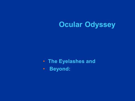 Ocular Odyssey The Eyelashes and Beyond:.