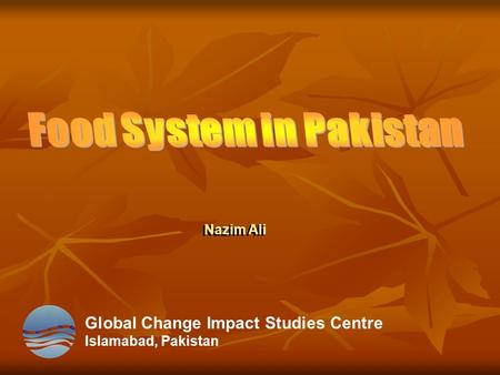 Global Change Impact Studies Centre Islamabad, Pakistan Nazim Ali.