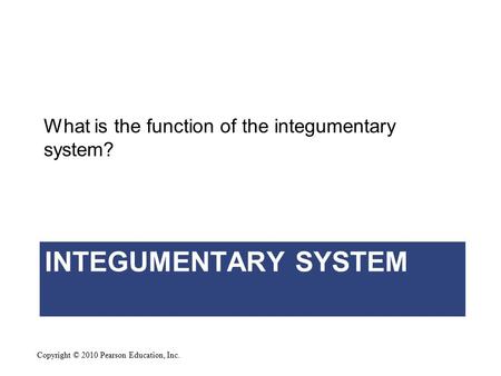 Copyright © 2010 Pearson Education, Inc. INTEGUMENTARY SYSTEM What is the function of the integumentary system?