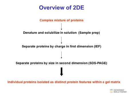 Overview of 2DE Complex mixture of proteins