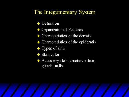 The Integumentary System u Definition u Organizational Features u Characteristics of the dermis u Characteristics of the epidermis u Types of skin u Skin.