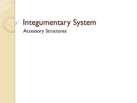 Integumentary System Accessory Structures.