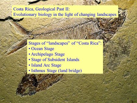 Costa Rica, Geological Past II: Evolutionary biology in the light of changing landscapes Stages of “landscapes” of “Costa Rica”: Ocean Stage Archipelago.