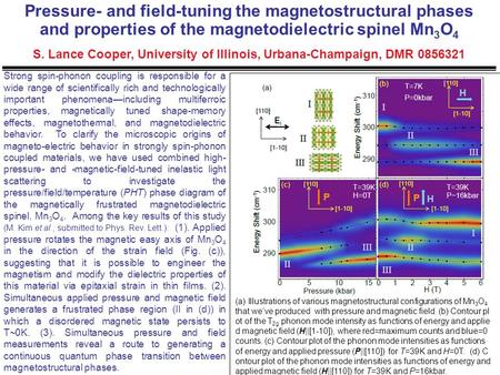 Strong spin-phonon coupling is responsible for a wide range of scientifically rich and technologically important phenomena—including multiferroic properties,