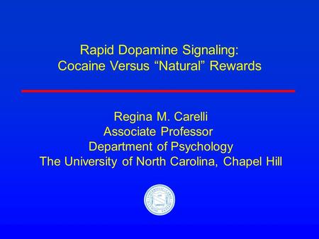 Rapid Dopamine Signaling: Cocaine Versus “Natural” Rewards