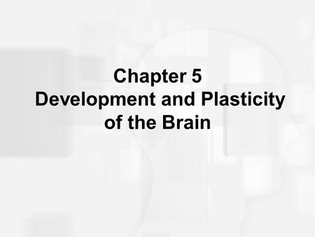 Chapter 5 Development and Plasticity of the Brain
