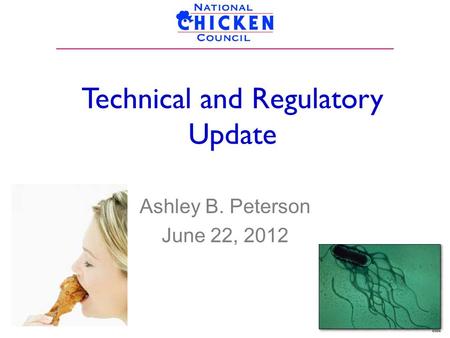 Technical and Regulatory Update Ashley B. Peterson June 22, 2012.