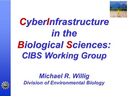 CyberInfrastructure in the Biological Sciences: CIBS Working Group Michael R. Willig Division of Environmental Biology.