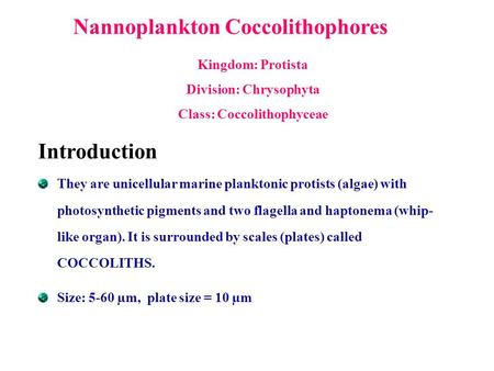 Division: Chrysophyta Class: Coccolithophyceae