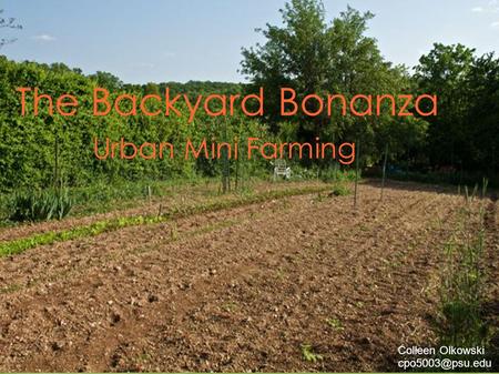 The Backyard Bonanza Urban Mini Farming Colleen Olkowski