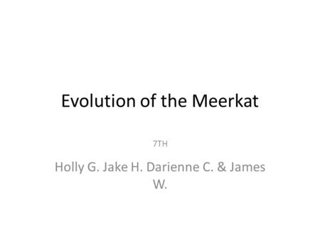 Evolution of the Meerkat
