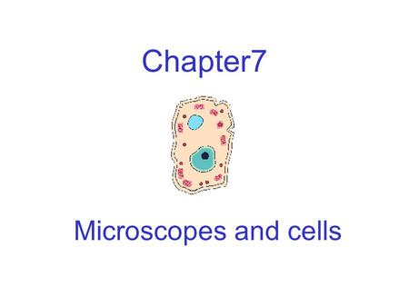 Chapter7 Microscopes and cells. Where does cork come from? The bark of an oak tree that grows in Spain and Portugal The bark is dead All that is left.