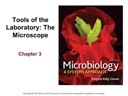 Tools of the Laboratory: The Microscope