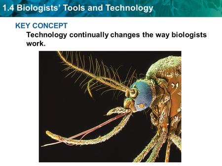 KEY CONCEPT Technology continually changes the way biologists work.