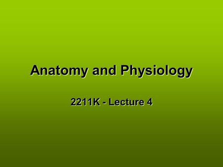 Anatomy and Physiology 2211K - Lecture 4. Slide 2 – Cytology of a muscle fiber.