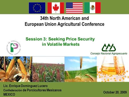 34th North American and European Union Agricultural Conference Session 3: Seeking Price Security in Volatile Markets October 20, 2009 Lic. Enrique Domínguez.