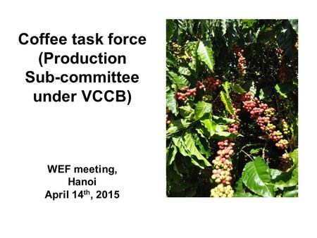 Coffee task force (Production Sub-committee under VCCB) WEF meeting, Hanoi April 14 th, 2015.