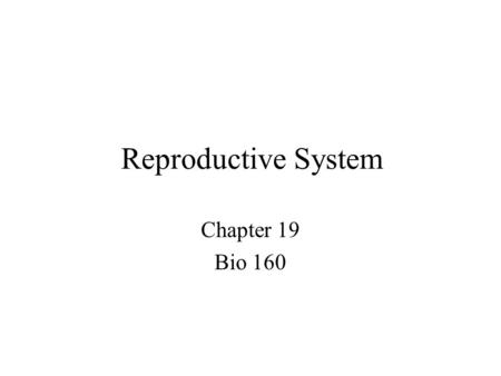Reproductive System Chapter 19 Bio 160.