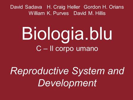 David Sadava H. Craig Heller Gordon H. Orians William K. Purves David M. Hillis Biologia.blu C – Il corpo umano Reproductive System and Development.