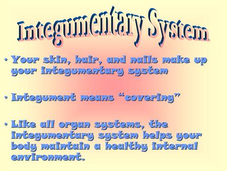 Your skin, hair, and nails make up your integumentary systemYour skin, hair, and nails make up your integumentary system Integument means “covering”Integument.