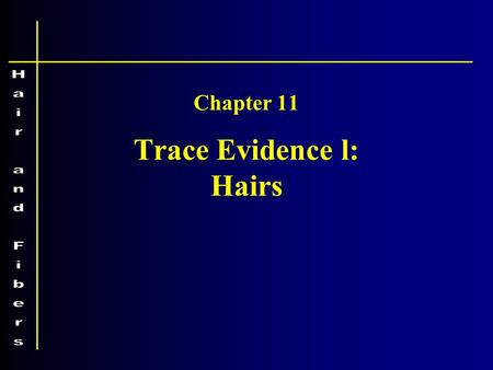 Trace Evidence l: Hairs