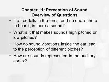 Chapter 11: Perception of Sound Overview of Questions If a tree falls in the forest and no one is there to hear it, is there a sound? What is it that makes.