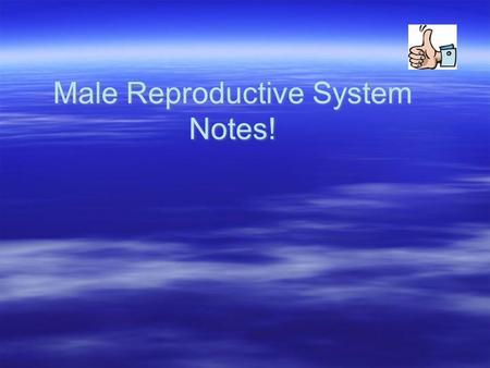 Male Reproductive System Notes!. Vocabulary To Know!  Urethra  Penis  Testicle or Testis  Scrotum  Vas deferens  Erection  Urethra  Penis  Testicle.