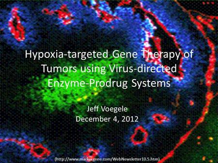 Hypoxia-targeted Gene Therapy of Tumors using Virus-directed Enzyme-Prodrug Systems Jeff Voegele December 4, 2012 (http://www.markergene.com/WebNewsletter10.5.htm)