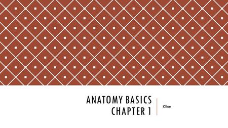 Anatomy Basics Chapter 1