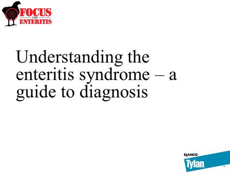 Understanding the enteritis syndrome – a guide to diagnosis.