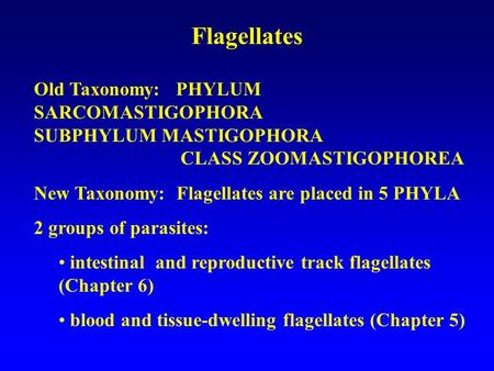 Flagellates Old Taxonomy: PHYLUM SARCOMASTIGOPHORA 		 SUBPHYLUM MASTIGOPHORA 		 CLASS ZOOMASTIGOPHOREA.