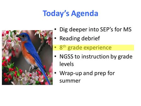 Today’s Agenda Dig deeper into SEP’s for MS Reading debrief 8 th grade experience NGSS to instruction by grade levels Wrap-up and prep for summer.