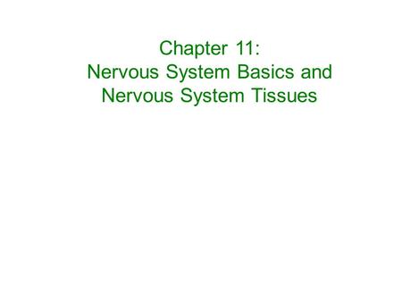 Nervous System Basics and Nervous System Tissues