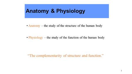 1 Anatomy & Physiology Anatomy – the study of the structure of the human body Physiology – the study of the function of the human body “The complementarity.