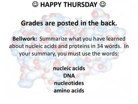 HAPPY THURSDAY Grades are posted in the back. Bellwork: Summarize what you have learned about nucleic acids and proteins in 34 words. In your summary,