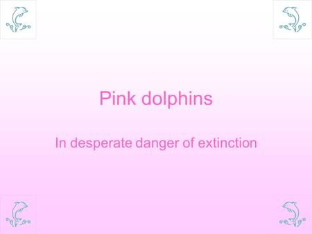 Pink dolphins In desperate danger of extinction. Life cycle Life span: 20~30 years.