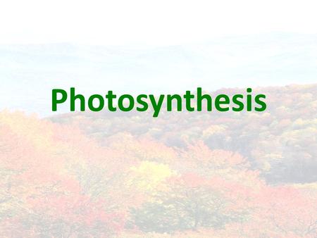 Photosynthesis. Energy & Life Energy, energy, ENERGY! Autotrophs vs. heterotrophs.