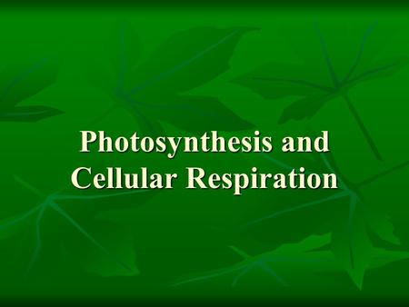 Photosynthesis and Cellular Respiration. Outline I. Photosynthesis A. Introduction B. Reactions II. Cellular Respiration A. Introduction B. Reactions.