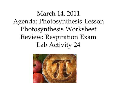 March 14, 2011 Agenda: Photosynthesis Lesson Photosynthesis Worksheet Review: Respiration Exam Lab Activity 24.