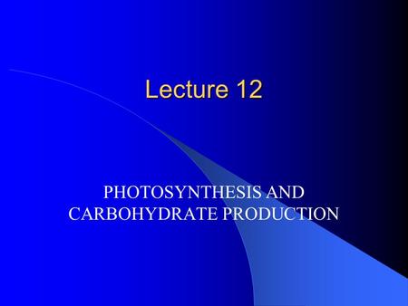 PHOTOSYNTHESIS AND CARBOHYDRATE PRODUCTION