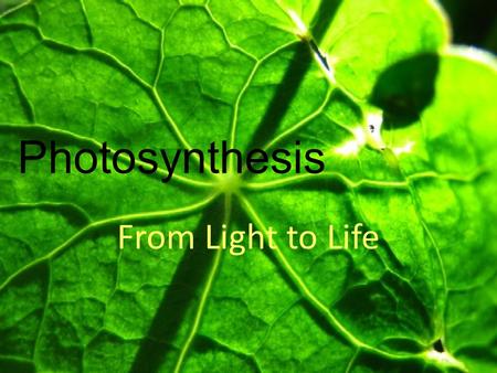Photosynthesis From Light to Life. Definition The process by which plants use CO 2 and water, along with the sun’s energy to create glucose, a simple.