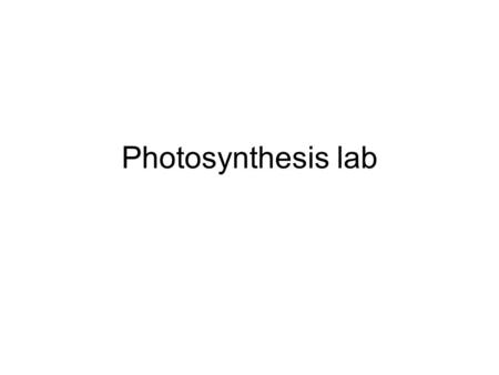 Photosynthesis lab. Outline of the day 1.Turn in your lab reports at the front –More than 10 minutes late = bad 2.Any questions on last week’s lab? 3.Quiz.