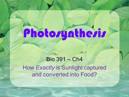 Photosynthesis Bio 391 – Ch4 How Exactly is Sunlight captured and converted into Food?