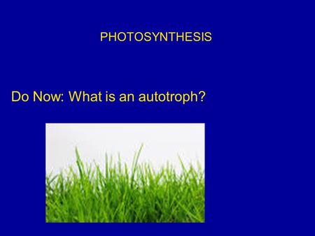PHOTOSYNTHESIS Do Now: What is an autotroph?